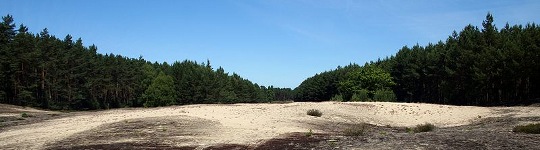 parque nacional bory tucholskie