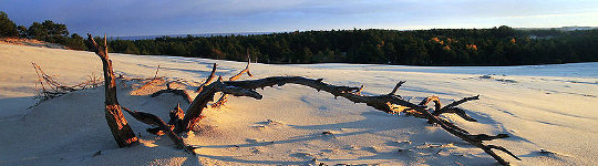 parque nacional de slowinski