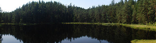 parque nacional de wigry